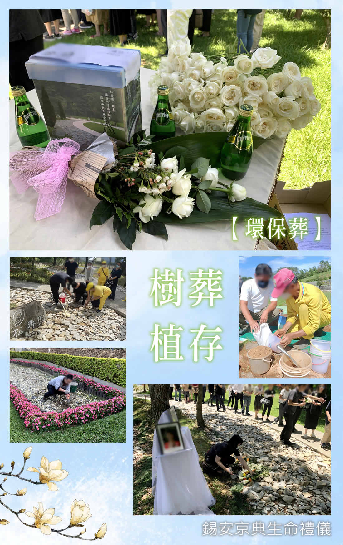 錫安京典生命禮儀提供環保葬-樹葬-花葬-植存-海葬-灑葬禮儀服務