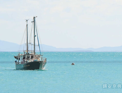 聯合海葬流程